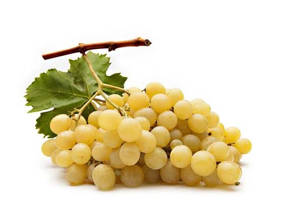 Grapes – Vittoria Grapes (Sicily)