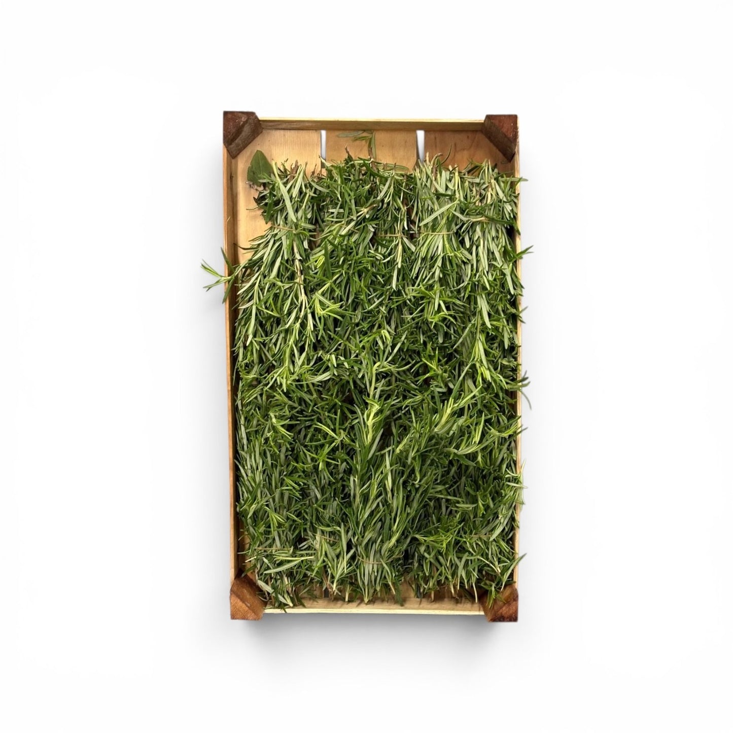 ๐ฎ๐น Italian Rosemary Bunch โ 75 g