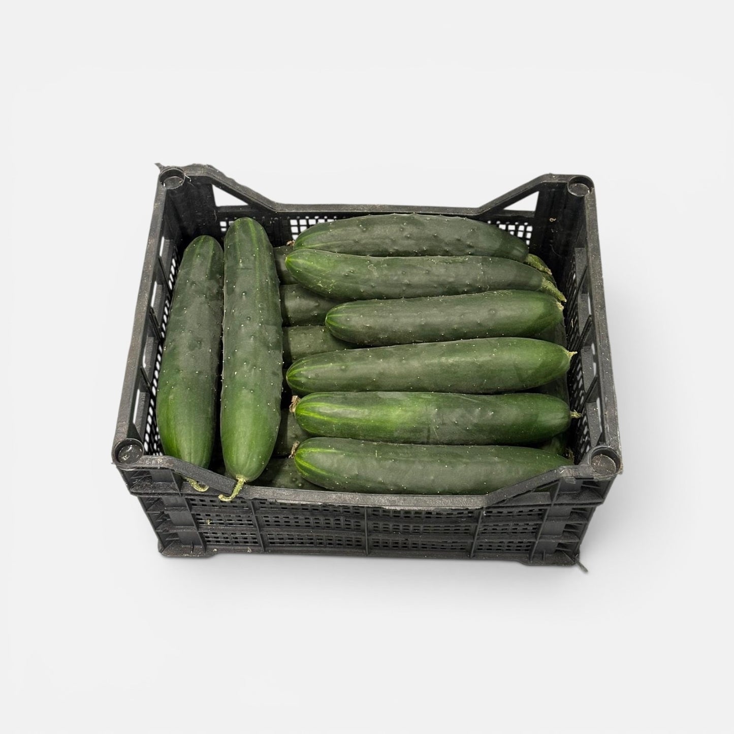 Cucumber – Sicilian Cucumber