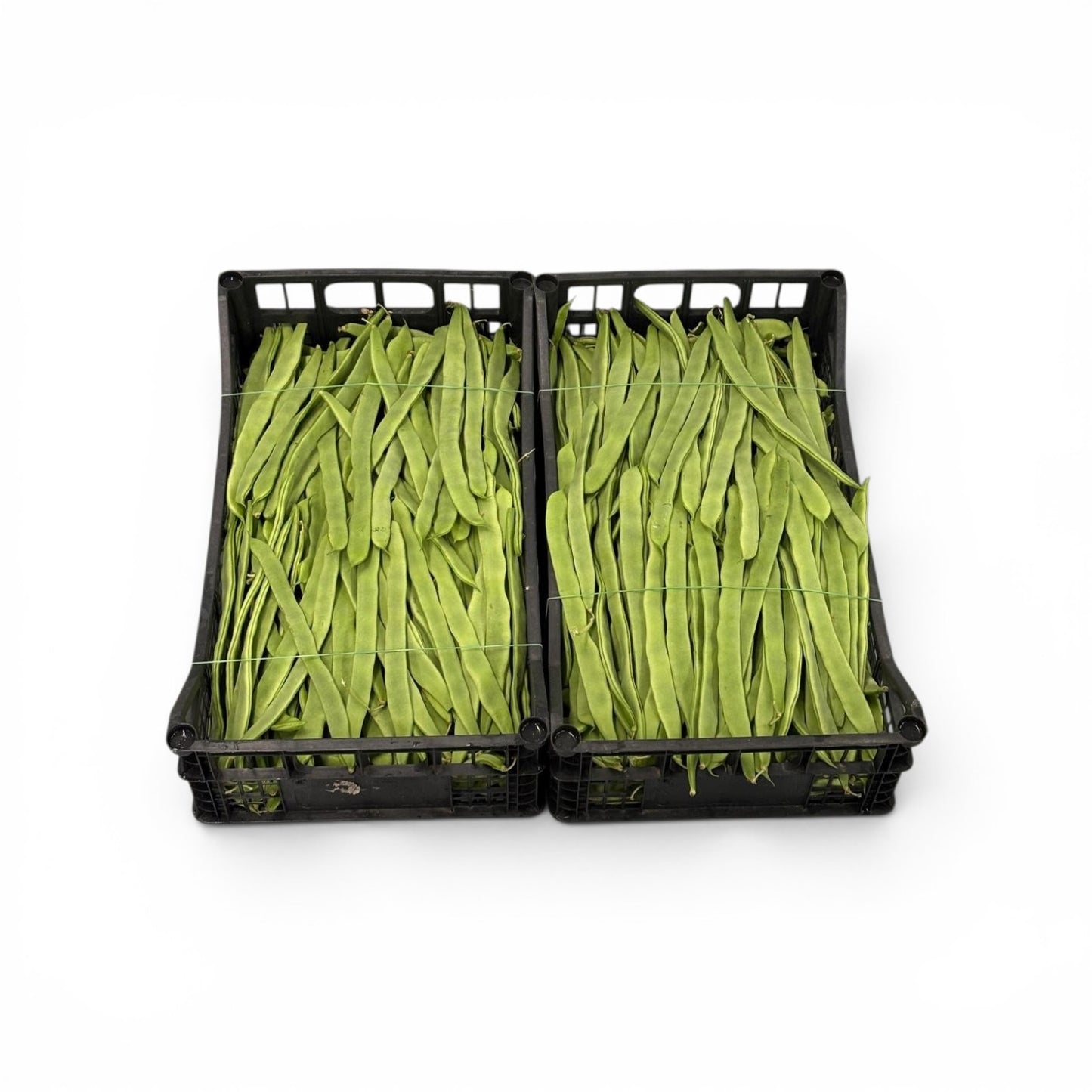Runner Beans – Corallo Beans (Taccole) – Italy