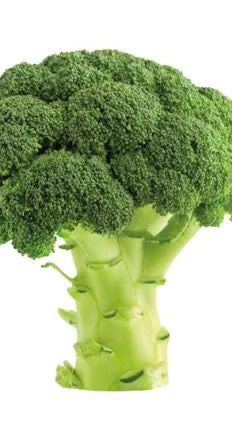 Broccoli π³π± | 400 g | β¬1,50