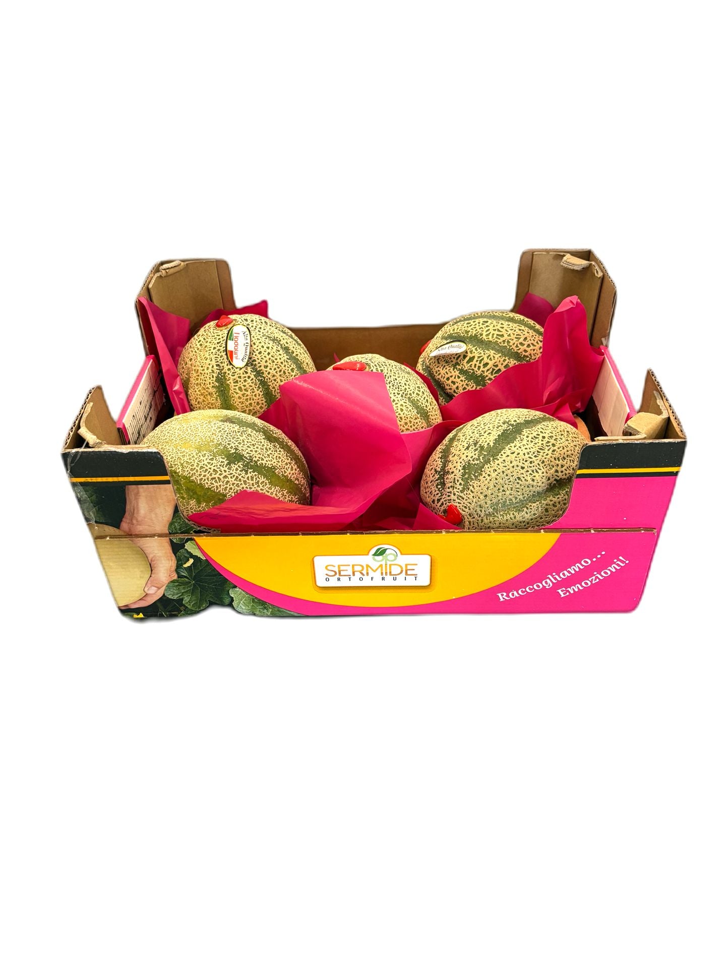 Cantaloupe Melon | per kg | €4,50