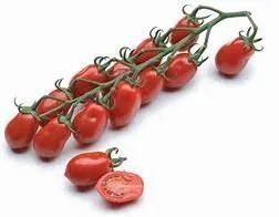 🇮🇹 Sicilian Datterino Tomatoes