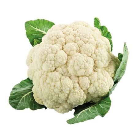 White Cauliflower | 🇳🇱 NL | 1 piece | €2.50