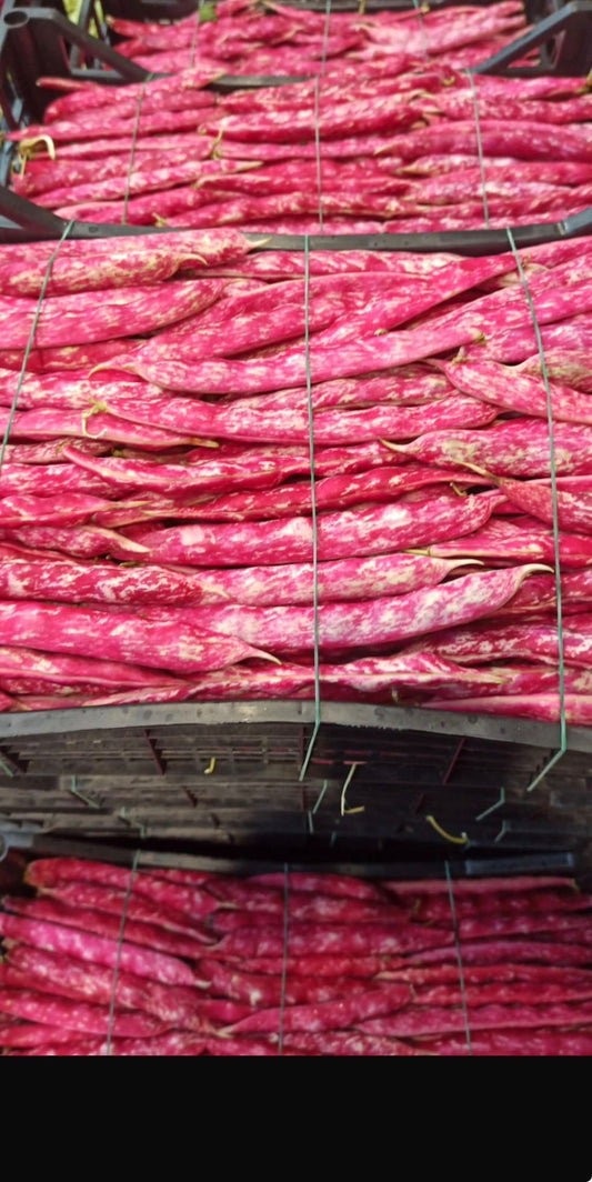 Beans – Red Beans