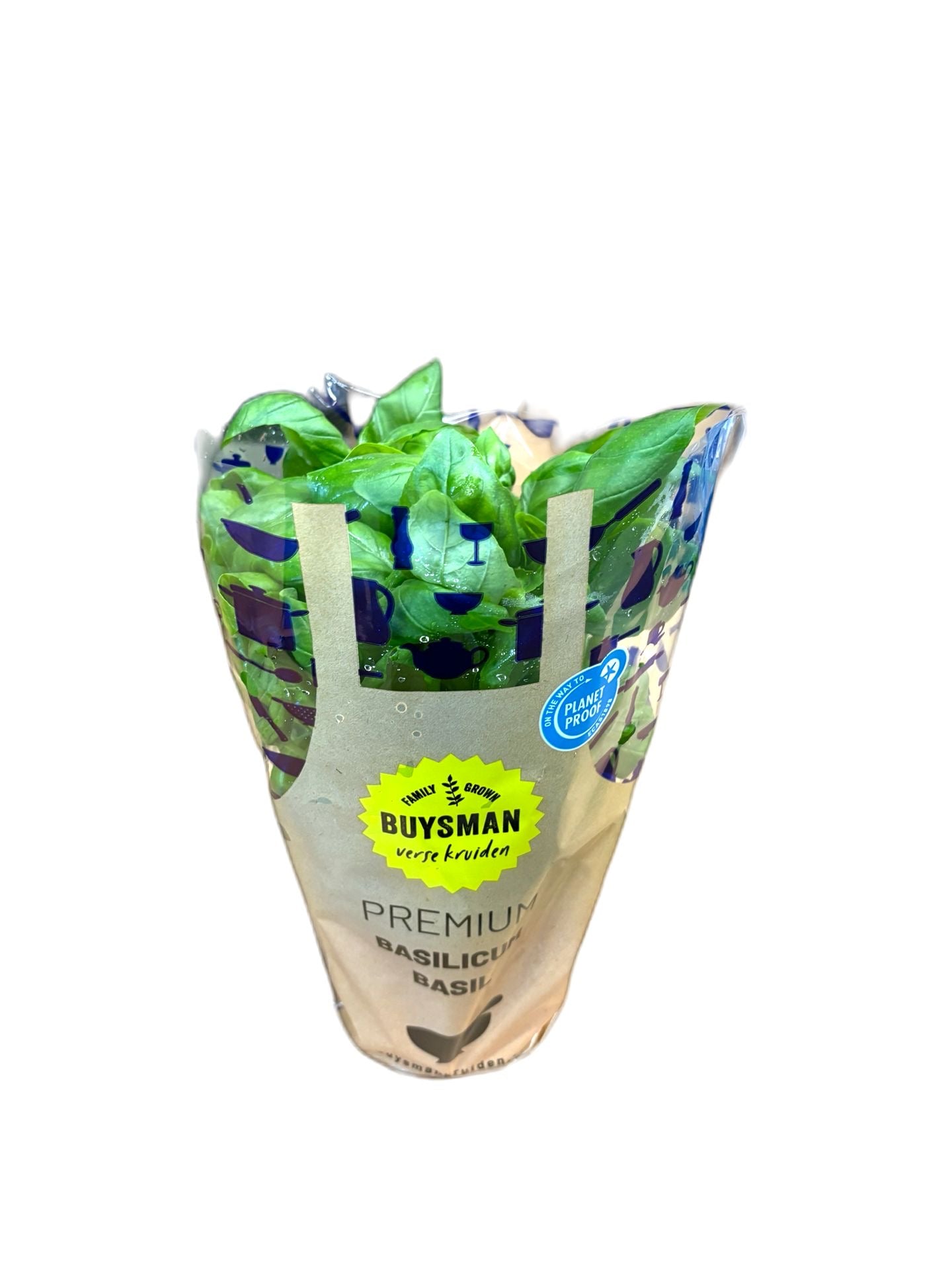 Basil Plant | 1 pot | €2.50