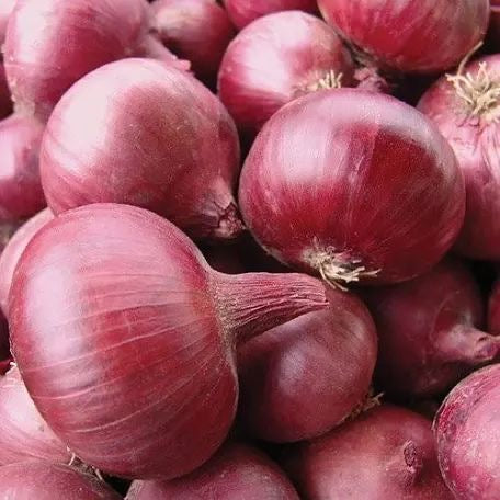 Red Onion | 🇳🇱 NL | 1 kg | €1.50