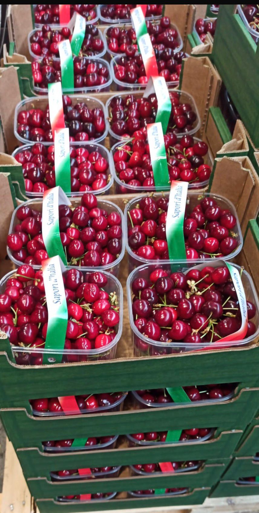 Cherries – Italian Cherries (approx. 1 kg tray)